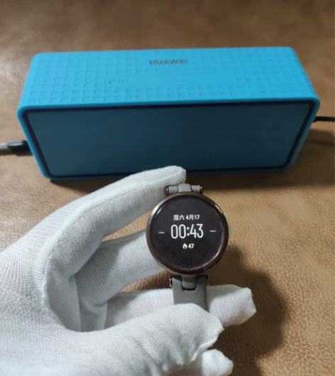 Garmin 佳明 lily时尚智能心率手...