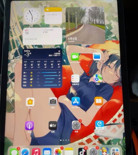 iPad Pro 2021款，128G，闲...