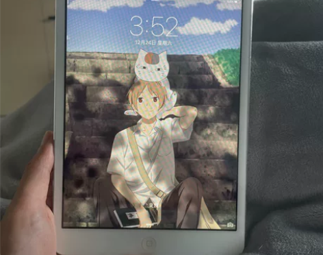 iPad mini16g 电池效率98 ...