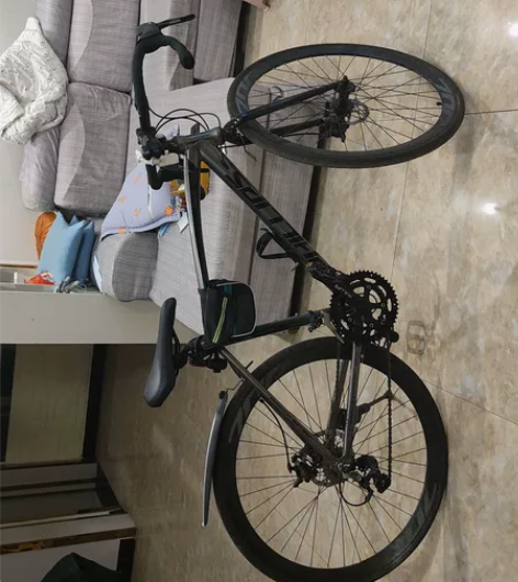 菲利普公路自行车， 感兴趣的话点“我想要”...