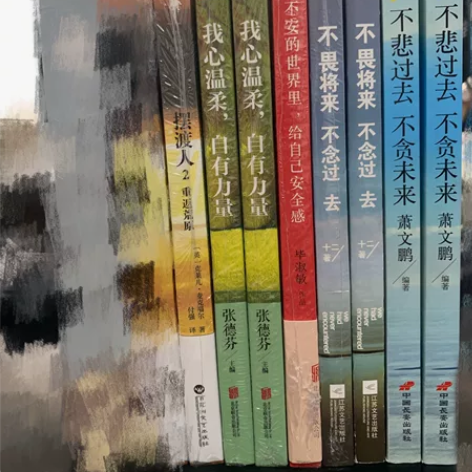 摆渡人2/毕淑敏/心灵鸡汤/女性读物 女性...