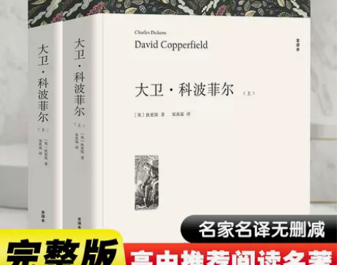 大卫科波菲尔高中生名著狄更斯完整版宋兆霖可...