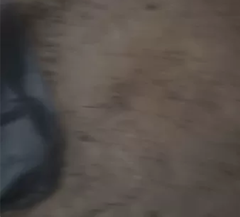 二手台铃电动车，锂电48伏，使用一年，续航...