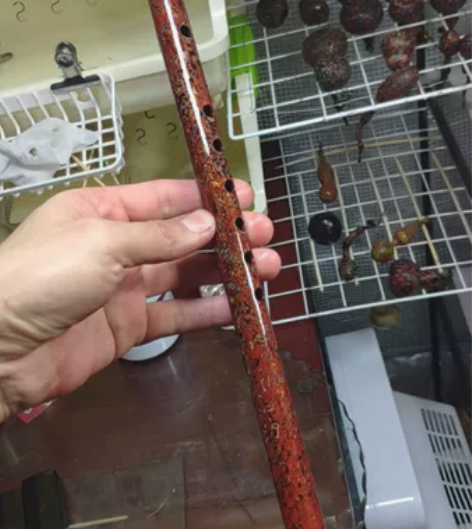 大漆笛子,绝美 感兴趣的话点“我想要”和我...