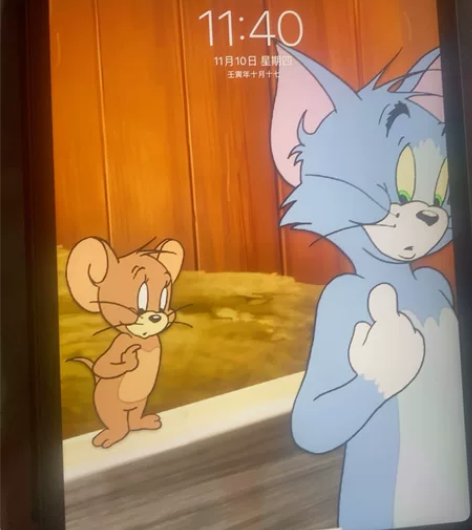 ipad pro2021 自买,不怎么用了...