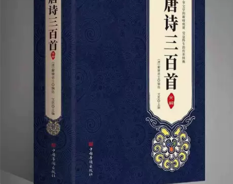 唐诗三百首 全解 大厚本 包邮 库存清仓 ...