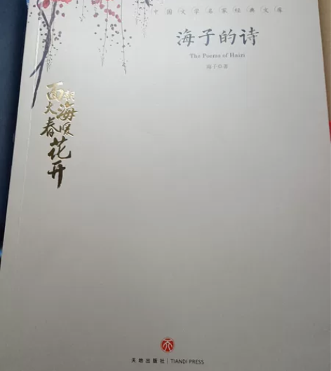海子的诗，二手书，瑕疵书 感兴趣的话点“我...