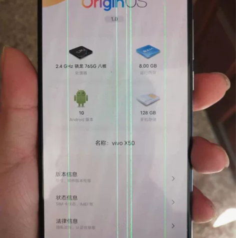 vivo x50 这就是您看到的情况做个备...