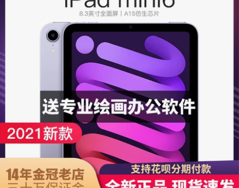 Apple/苹果 iPad mini (第...