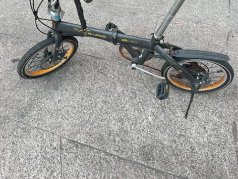 菲利普单车 折叠自行车 高碳钢 14寸 碟...