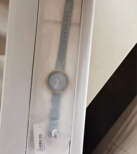 全新正版Dickies手表 朋友送的生日礼...