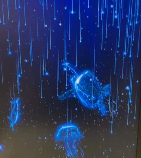 自购9.9成新 放了好久都没怎么用 （只开...