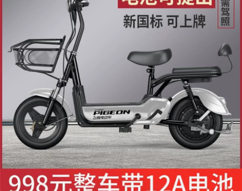 飞鸽电动车新国标电瓶车，电瓶可提出充电，买...