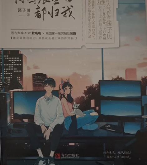 全新仅拆塑封,共上下两册晋江青春文学,电竞...