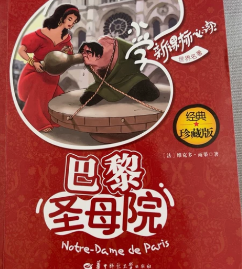 巴黎圣母院 卡西莫多 孩子最好的礼物 感兴...