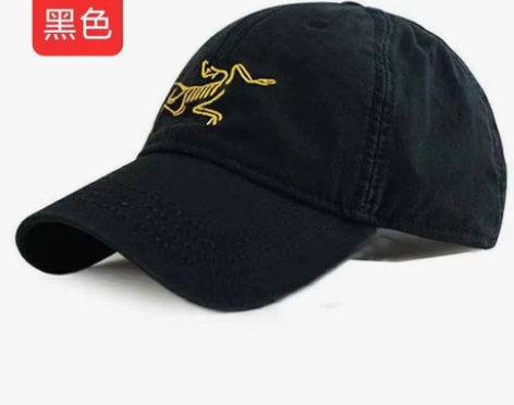 全新始祖鸟棉质棒球帽帽子男女户外休闲运动棒...