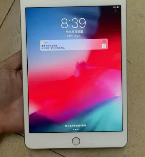 2019款 iPad mini5国行64g...
