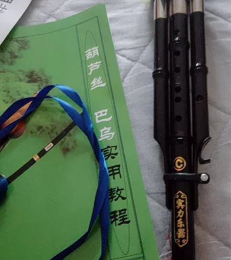 云南葫芦丝乐器初学降b调成人c调小学生零基...