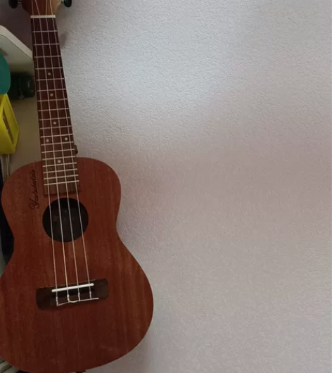 全新尤克里里，朋友送的，不会弹，转给需要的...