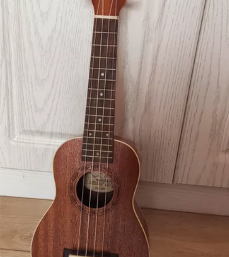 出一个闲置的尤克里里，乌克兰俱乐部夏日之歌...