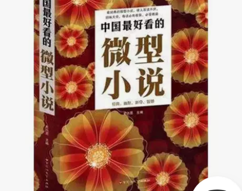 正版 中国最好看的微型小说/大全集 文学作...