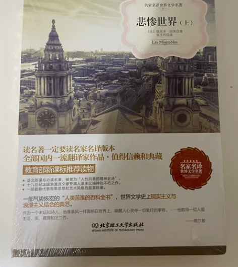 名著《悲惨世界》上下两册中文版 可以从图片...