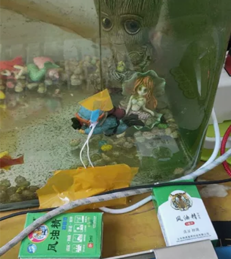 电脑主板七彩虹战斧B250- 英特尔i5 ...
