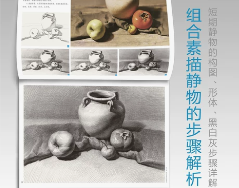 临摹素描素描静物组合书范本画册绘画入门教材...