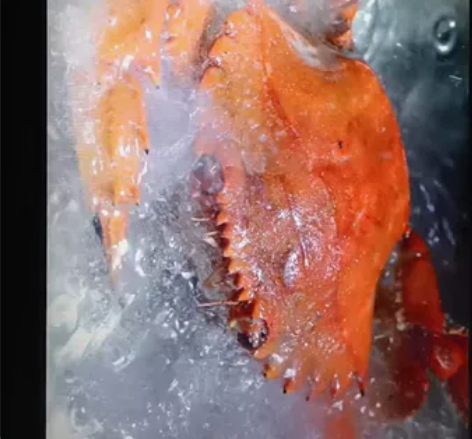 华硕笔记本电脑A55V关联K55VD关联联...