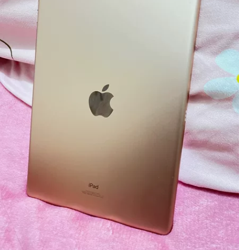 Apple iPad 10.2英寸平板电脑...