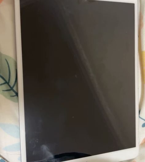 iPad Air3 带笔，2020年线下购...