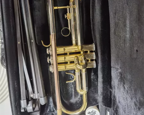 #乐器# 推荐人群 小号初学者 使用感受 ...