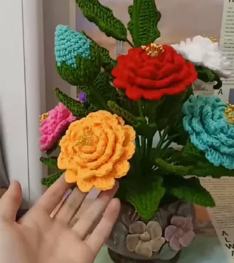 一盆10大朵花,8种颜色非常不错的家庭摆件...