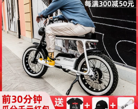 已上牌可过户，飞鸽复古电动车锂电雪地越野助...