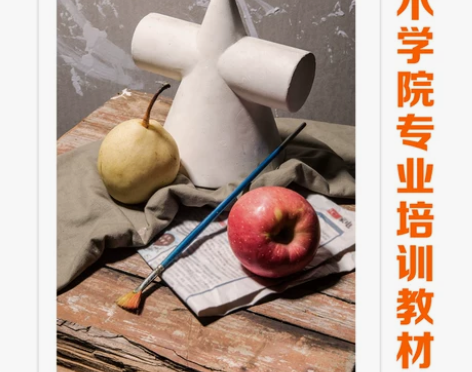 临摹素描写照素描静物写生照片书对画素材构图...