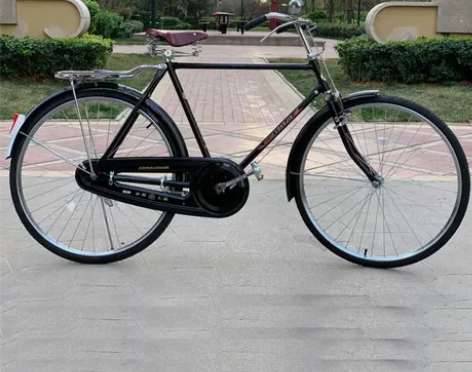 永久大杠自行车，和图片有差异差别不大，只自...