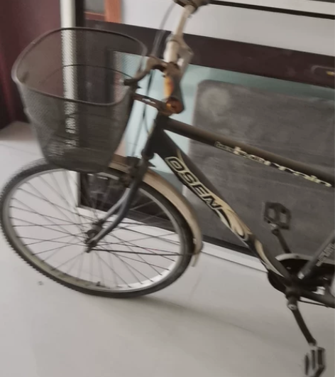 没地方，转三枪牌自行车一辆 感兴趣的话点“...