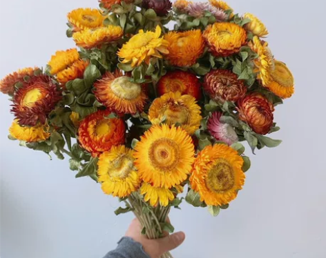 真花干花批发小雏菊干花花束客厅摆设装饰七彩...