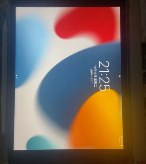2020版苹果iPad 128g买回来没用...