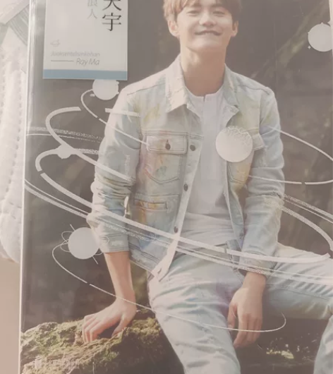 我本浪人马天宇新书回忆录明星传记自传文学散...