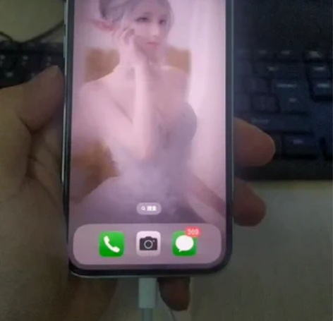 个人自用苹果12   iphone12  ...