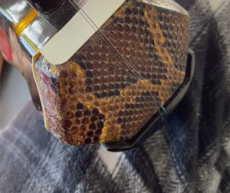 杞梓木成人二胡,盒子都是配套的,工艺也不错...