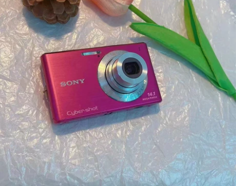 Sony/索尼［个人出相机！！］。没怎么用...