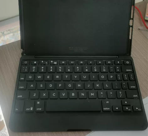 出自用闲置ipad mini 4/5 硬壳...