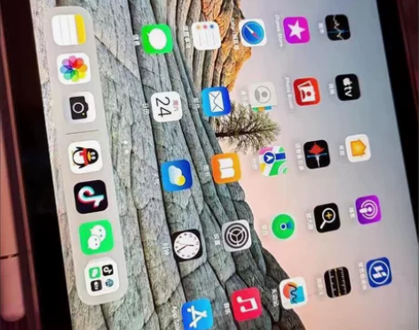 闲置出iPad 2018 32g 99新 ...