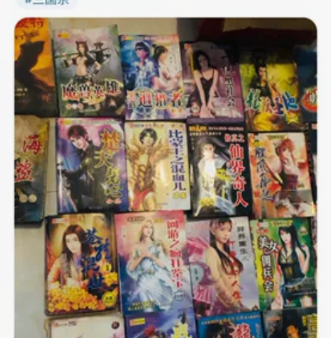 哈利波特 魔兽英雄 黑道追猎者 一统黑社会...