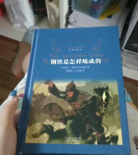 钢铁是怎样炼成的(精)/经典译林钢铁是怎样...