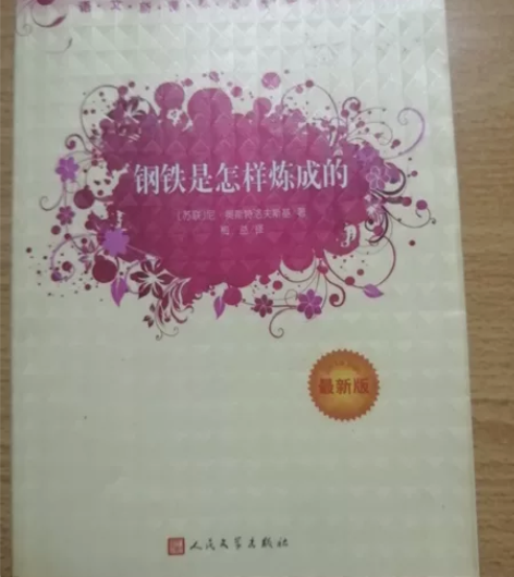 《钢铁是怎样炼成的》 《活着》 《名人传》...