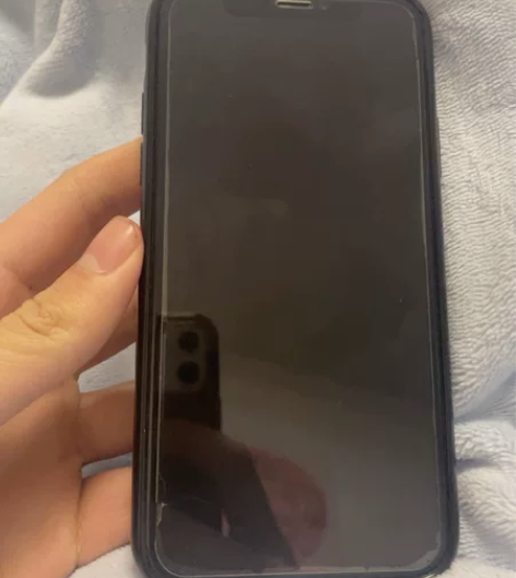 iPhonex银色64g，换过屏幕和电池，...