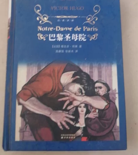 巴黎圣母院10块，买来就闲置了。其他的都是...